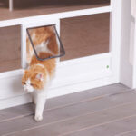 Insektenschutz, Katzensicherung Altötting, Mühldorf